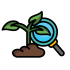 botany_17442137